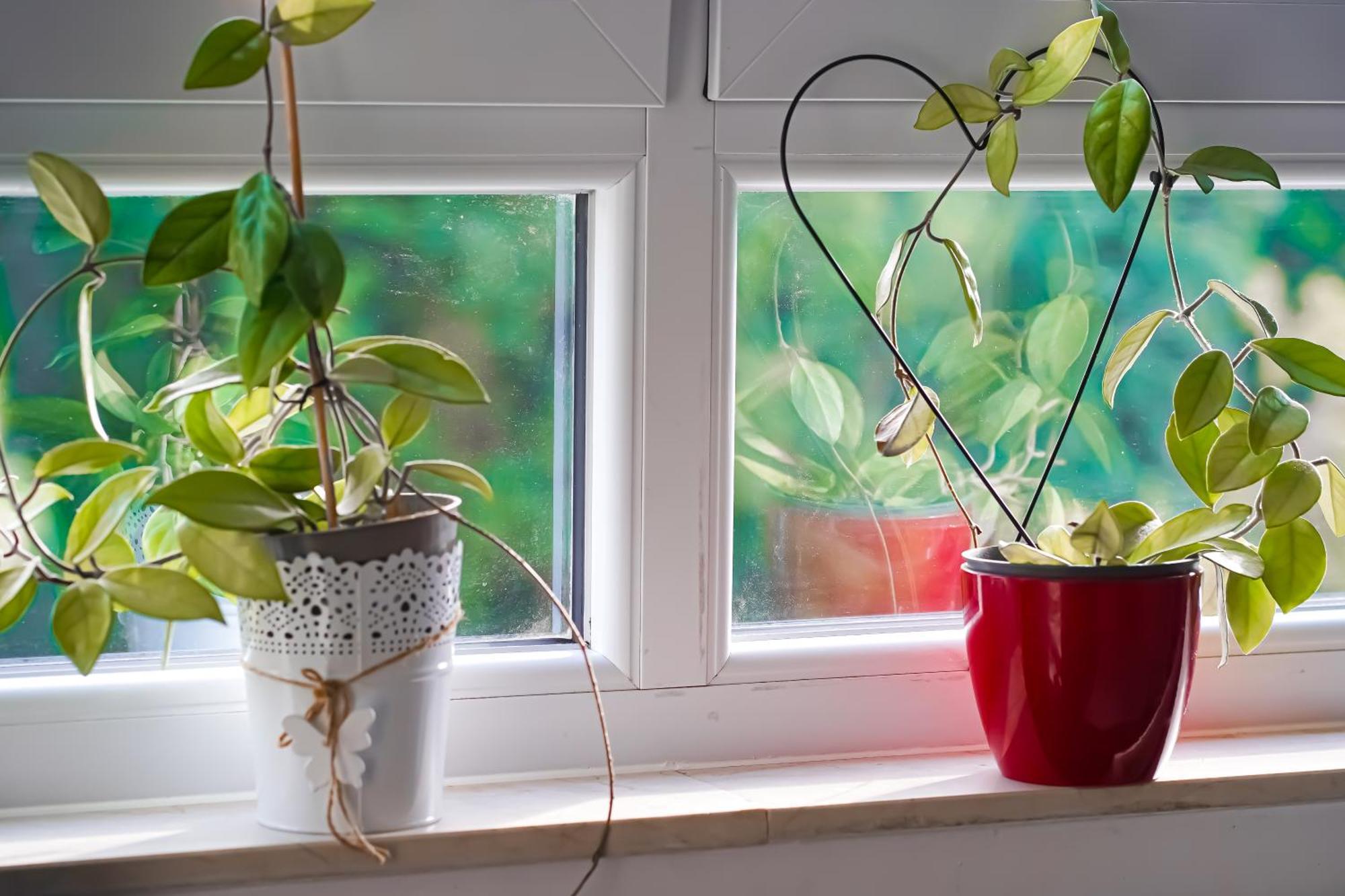 Moderne 3-Zimmer-Wohnung Im Herzen Von Darmstadt - Zentrale Lage, Komfort & Wlan Eksteriør bilde
